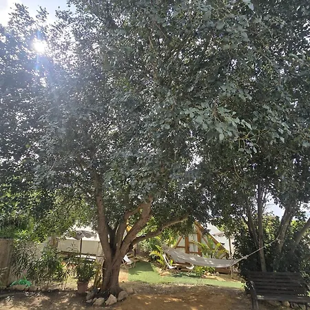Boho Glamping En Complejo Rural El Mayorazgo Campingplads Cádiz