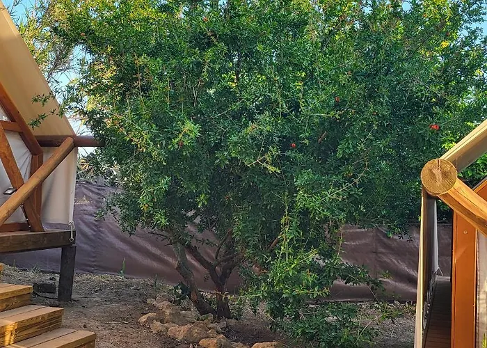 Boho Glamping En Complejo Rural El Mayorazgo * Кадіс