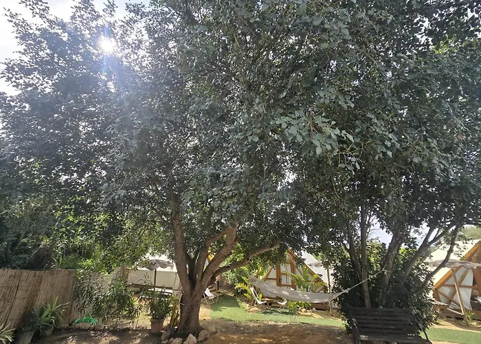 Boho Glamping En Complejo Rural El Mayorazgo 营地 加的斯