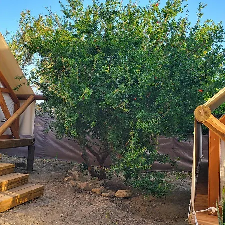Boho Glamping En Complejo Rural El Mayorazgo * Cádiz